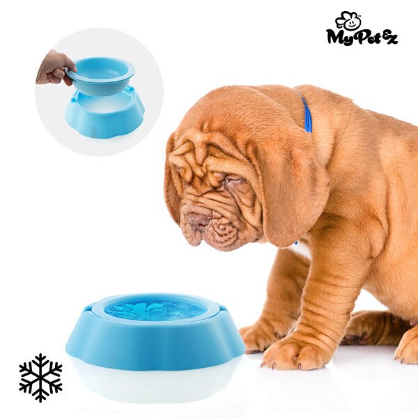 My Pet Frosty Bowl Kæledyr Vandskål