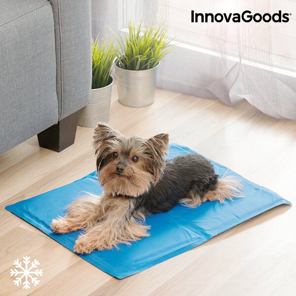 InnovaGoods Afkølende Måtte til Kæledyr (40 x 50 cm)