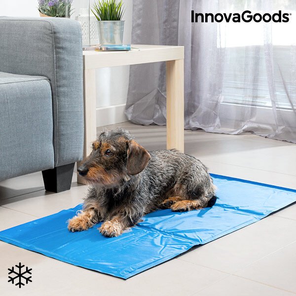 InnovaGoods Afkølende Måtte til Kæledyr (90 x 50 cm)